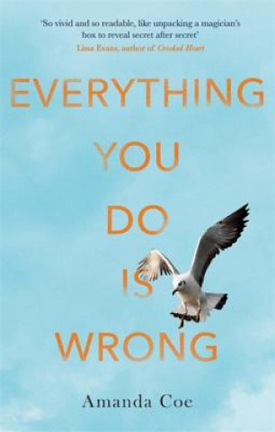 Book Everything You Do Is Wrong Amanda Coe
