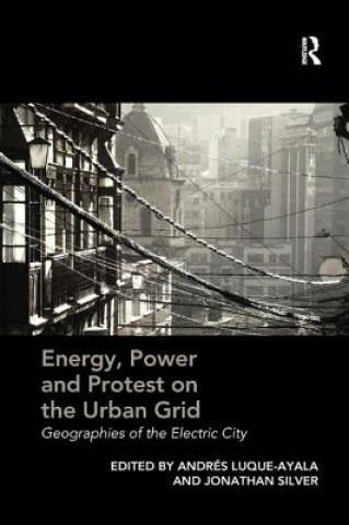 Libro Energy, Power and Protest on the Urban Grid 