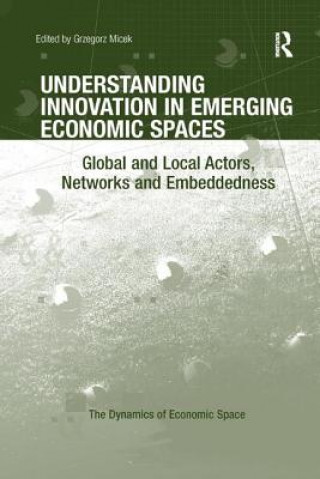 Libro Understanding Innovation in Emerging Economic Spaces MICEK