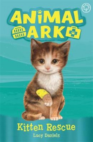 Kniha Animal Ark, New 1: Kitten Rescue Lucy Daniels