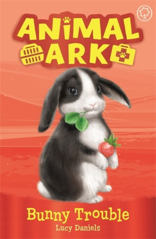 Kniha Animal Ark, New 2: Bunny Trouble Lucy Daniels