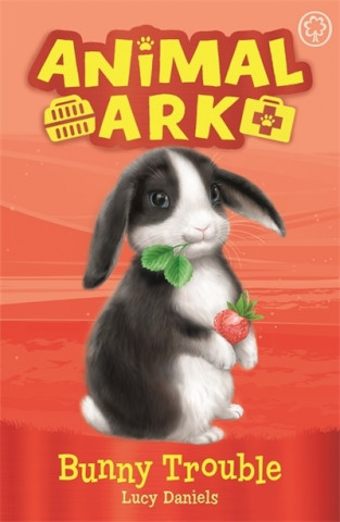 Knjiga Animal Ark, New 2: Bunny Trouble Lucy Daniels