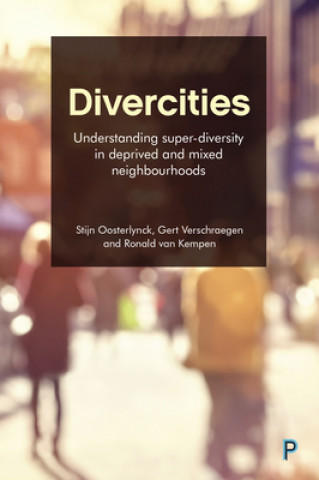 Knjiga Divercities Stijn Oosterlynck