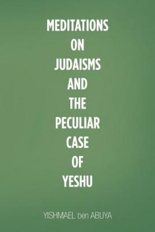 Könyv Meditations on Judaisms and the Peculiar Case of Yeshu YISHMAEL BEN ABUYA