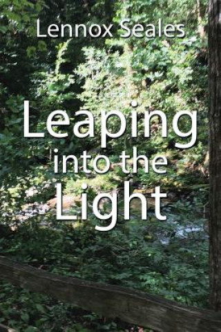 Книга Leaping into the Light LENNOX SEALES