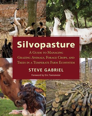 Książka Silvopasture Steve Gabriel
