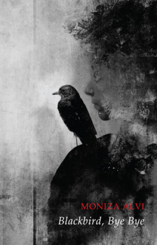 Kniha Blackbird, Bye Bye Moniza Alvi