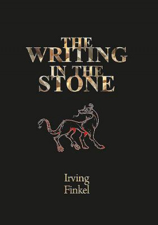 Kniha Writing in the Stone Irving Finkel