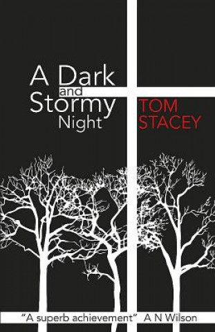 Könyv Dark and Stormy Night Tom Stacey