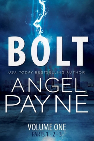 Buch Bolt Angel Payne