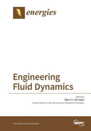 Knjiga Engineering Fluid Dynamics BJ RN H. HJERTAGER