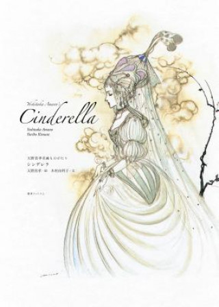 Könyv Yoshitaka Amano's Cinderella Yoshitaka Amano