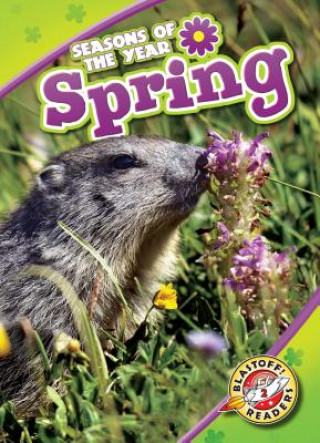 Libro Spring Rebecca Pettiford