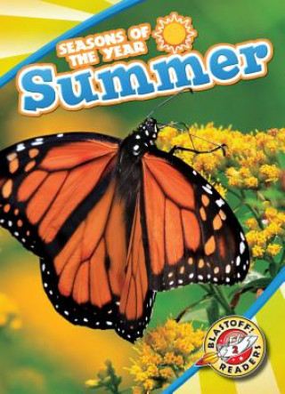 Kniha Summer Rebecca Pettiford