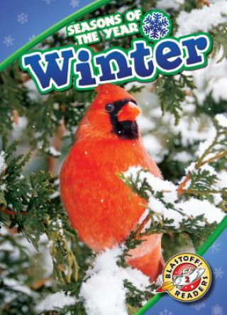 Book Winter Rebecca Pettiford