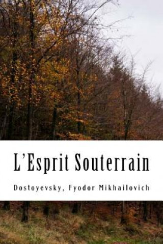 Book L'Esprit Souterrain Dostoyevsky Fyodor Mikhailovich