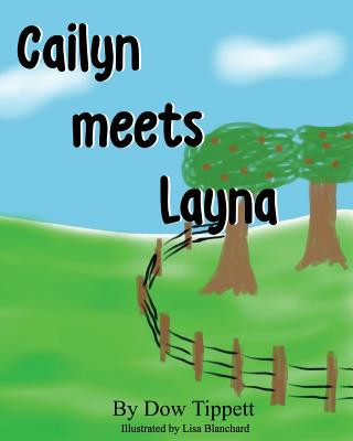 Książka Cailyn meets Layna Dow R Tippett