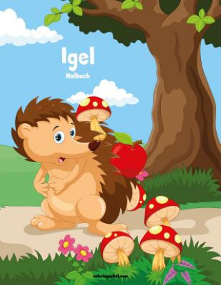 Knjiga Igel-Malbuch 1 Nick Snels