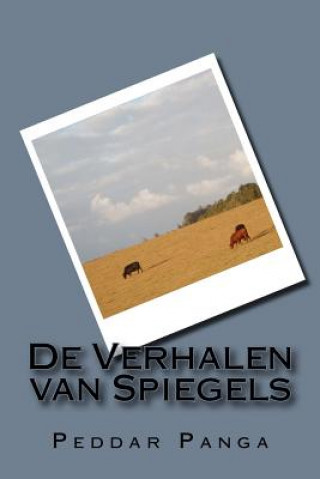 Buch De Verhalen van Spiegels Peddar Panga