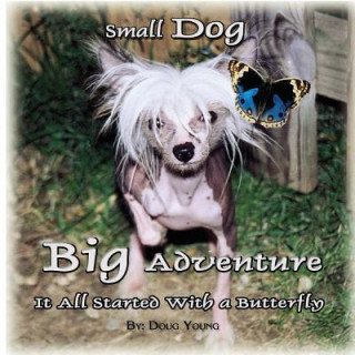 Könyv Small Dog - Big Adventure: It all started with a butterfly Douglas Young