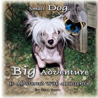 Książka Small Dog - Big Adventure: It all started with a butterfly Douglas Young