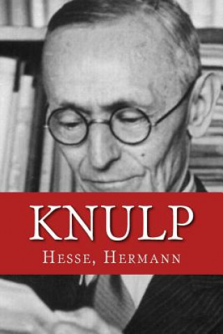 Kniha Knulp Hesse Hermann