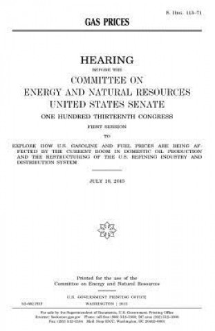 Book Gas prices United States Congress