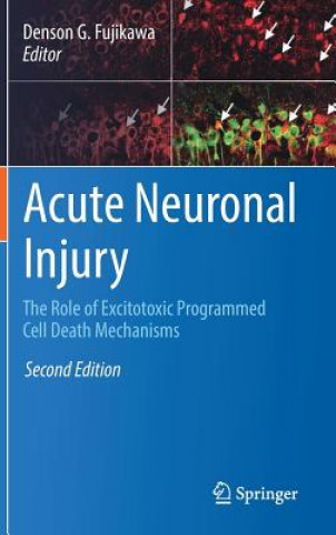 Βιβλίο Acute Neuronal Injury Denson G. Fujikawa