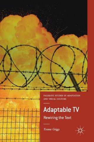 Kniha Adaptable TV Yvonne Griggs