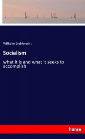 Boek Socialism Wilhelm Liebknecht