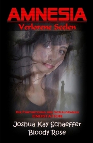 Buch Amnesia - Verlorene Seelen Joshua Kay Schaeffer