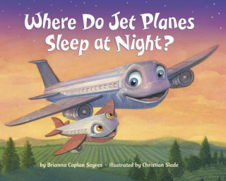 Kniha Where Do Jet Planes Sleep at Night? Brianna Caplan Sayres