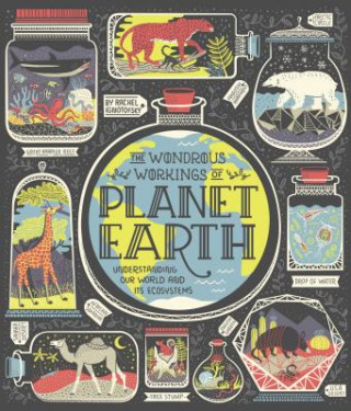 Книга Wondrous Workings of Planet Earth Rachel Ignotofsky