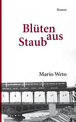 Könyv Bluten aus Staub Mario Weto