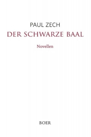 Kniha Der schwarze Baal Paul Zech