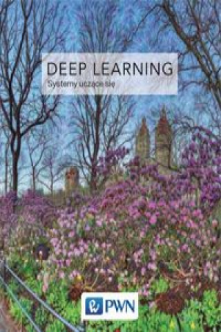 Knjiga Deep Learning Współczesne systemy uczące się Goodfellow Ian