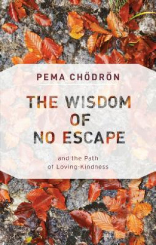 Kniha Wisdom of No Escape Pema Chodron