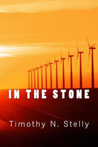 Boek In The Stone Timothy Stelly