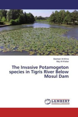 Könyv The Invasive Potamogeton species in Tigris River Below Mosul Dam Basheer Al-Ni'ma