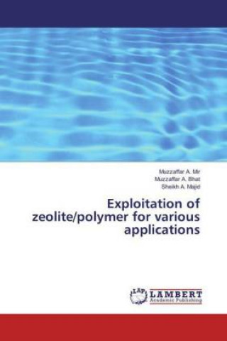 Kniha Exploitation of zeolite/polymer for various applications Muzzaffar A. Mir