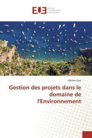 Könyv Gestion des projets dans le domaine de l'Environnement Momar Sow