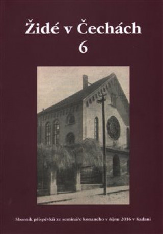 Book Židé v Čechách 6 