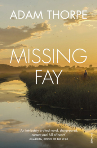 Knjiga Missing Fay Adam Thorpe