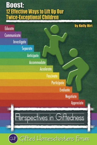 Kniha Boost: 12 Effective Ways to Lift Up Our Twice-Exceptional Children Kelly Hirt