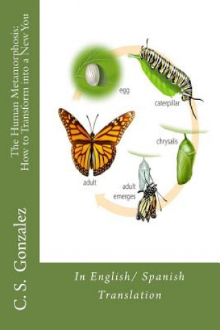 Kniha The Human Metamorphosis: How to Transform into a New You: In English/ Spanish Translation C S Gonzalez