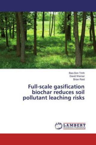 Kniha Full-scale gasification biochar reduces soil pollutant leaching risks Bao-Son Trinh