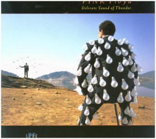 Audio Delicate Sound Of Thunder, 2 Schallplatten (180 Gramm 12") Pink Floyd