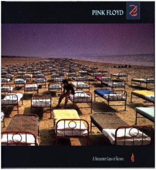 Аудио A Momentary Lapse Of Reason, 1 Schallplatte Pink Floyd