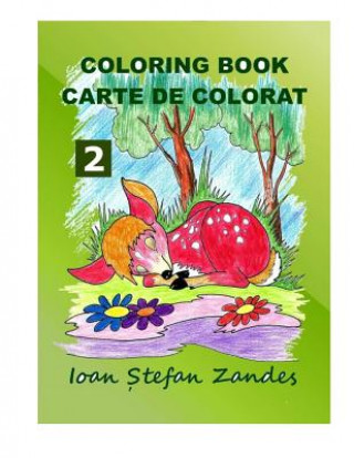 Carte Coloring Book 2: Coloring book for kids starting with the age of 3 Ioan Stefan Zandes