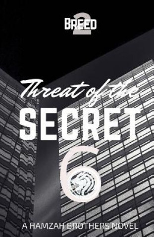 Kniha Threat of the Secret 6 